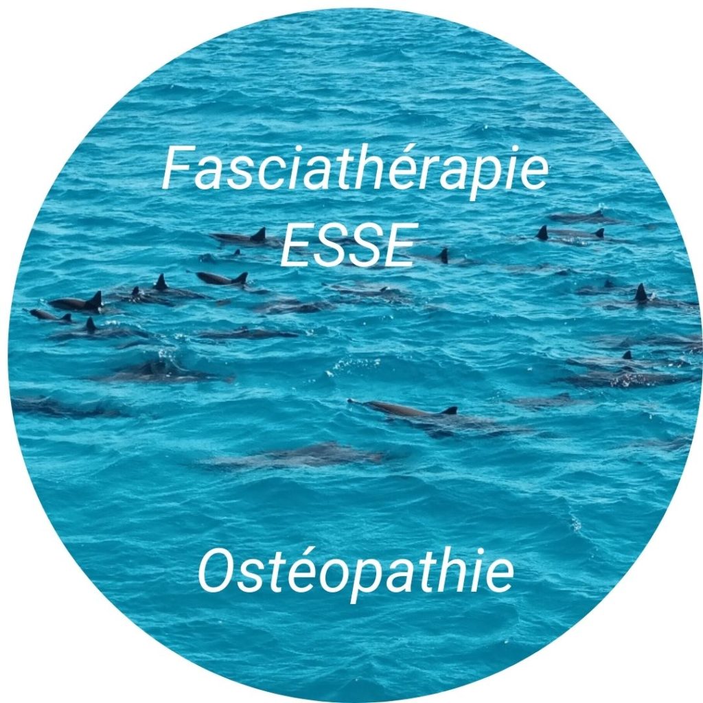 Anne Florence Vanden Perre Fasciathérapeute Ostéopathe Bruxelles et lors de mes déplacements